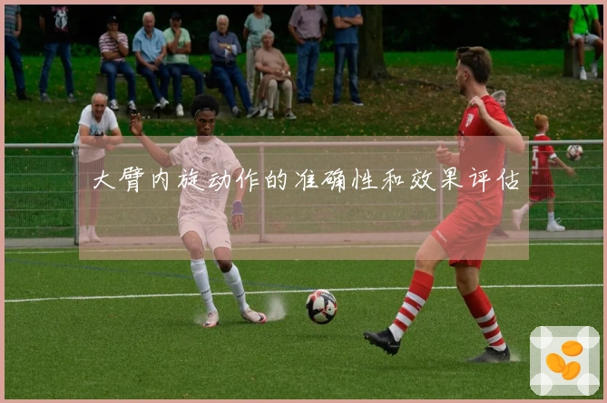 大臂内旋动作的准确性和效果评估